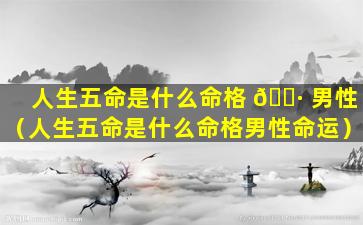 人生五命是什么命格 🕷 男性（人生五命是什么命格男性命运）